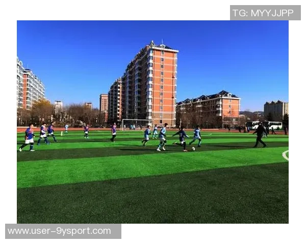 梦幻足球联盟上港：重燃激情与梦想的绿茵之旅